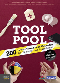 Tool Pool - Thomas Ebinger - ebook