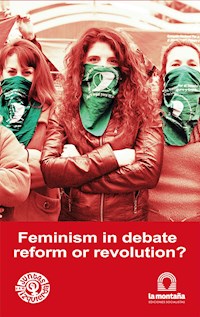 Feminism in debate, reform or revolution? - Celeste Fierro - ebook