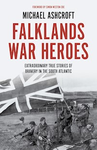Falklands War Heroes - Michael Ashcroft - ebook