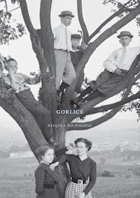 Gorlice Książka do pisania - Sepioł Janusz - książka