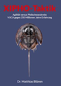 Xipho-Taktik - Dr. PhDr. Matthias Blümm - ebook