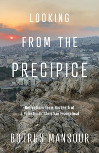 Looking from the Precipice - Botrus Mansour - ebook