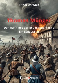 Thomas Münzer, der Mann mit der Regenbogenfahne - Wolf Friedrich - ebook