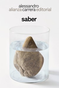 Saber - Alessandro Carrera - ebook