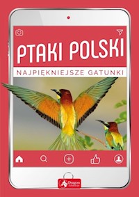 Ptaki Polski - Przybyłowicz Anna, Przybyłowicz Łukasz - książka