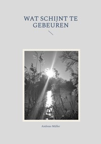 Wat schijnt te gebeuren - Andreas Müller - ebook