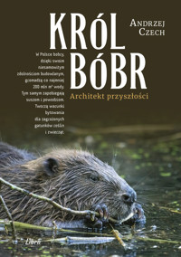 Król bóbr - Czech Andrzej - książka