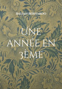 Une année en 3ème - Balian Bernardo - ebook