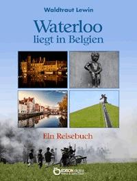 Waterloo liegt in Belgien - Waldtraut Lewin - ebook