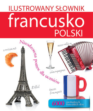 Ilustrowany słownik francusko-polski - Tadeusz Woźniak - książka