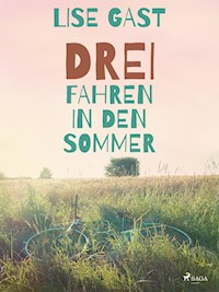 Drei fahren in den Sommer - lise  gast  - ebook