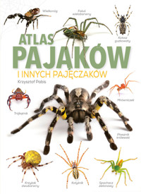 Atlas pająków i innych pajęczaków - Krzysztof Pabis - książka