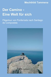Der Camino - Eine Welt für sich - Mechthild Tammena - ebook