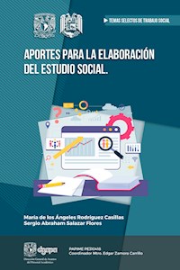 Aportes para la elaboración del estudio social - María de los Ángeles Rodríguez Casillas - ebook