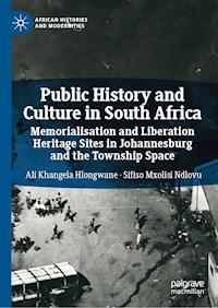 Public History and Culture in South Africa - Ali Khangela Hlongwane - ebook