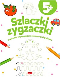 Szlaczki zygzaczki -  - książka