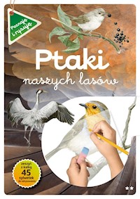 Ptaki naszych lasów Część 2 - Kopiec-Sekieta Katarzyna, Maternicka Grazyna - książka