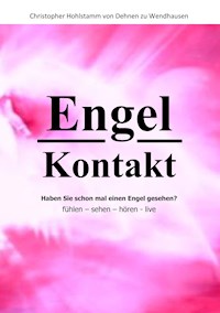 Engel Kontakt - Haben Sie schon mal einen Engel gesehen - Christopher Hohlstamm von Dehnen zu Wendhausen - ebook