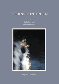 Sternschnuppen - Siegfried Grillmeyer - ebook