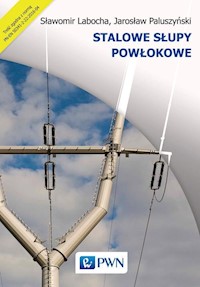 Stalowe słupy powłokowe - Labocha Sławomir, Paluszyński Jarosław - książka