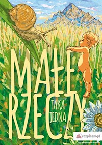 Małe rzeczy - Taka Jedna - książka