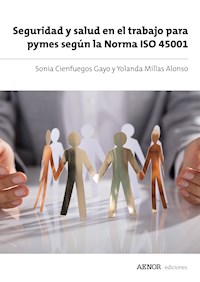 Seguridad y salud en el trabajo para pymes según la Norma ISO 45001 - Sonia Cienfuegos Gayo - ebook