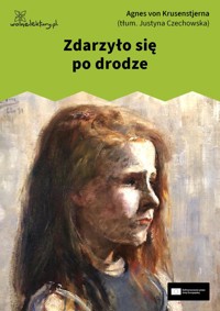 Zdarzyło się po drodze - Agnes von Krusenstjerna - ebook + audiobook