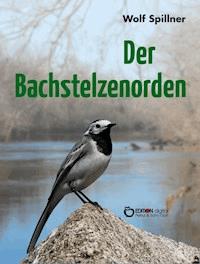 Der Bachstelzenorden - Wolf Spillner - ebook