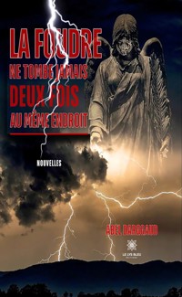 La foudre ne tombe jamais deux fois au même endroit - Abel Darggaud - ebook