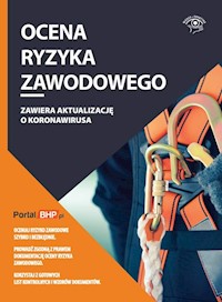 Ocena ryzyka zawodowego - zbiorowa praca - książka