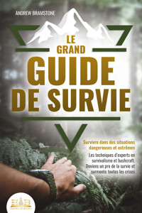 Le grand guide de survie - Survivre dans des situations dangereuses et extrêmes: Les techniques d'experts en survivalisme et bushcraft. Deviens un pro de la survie et surmonte toutes les crises - Andrew Bramstone - ebook
