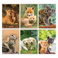 Zeszyt Herlitz A5/32k trzy linie - Animals (9583071) -  - książka