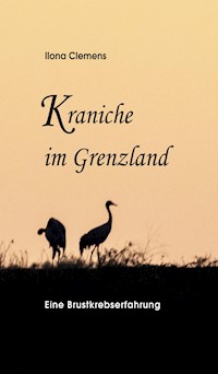 Kraniche im Grenzland - Ilona Clemens - ebook
