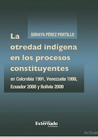 La otredad indígena en los procesos constituyentes en Colombia 1991, Venezuela 1999, Ecuador 2008 y Bolivia 2009 - Soraya Pérez Portillo - ebook