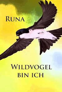 Wildvogel bin ich - historischer Roman - - Runa - ebook