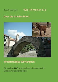 Wie ich meinen Esel über die Brücke führe - Frank Lehmann - ebook
