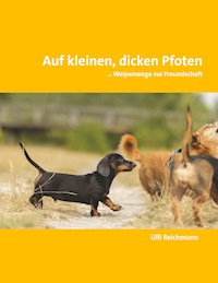 Auf kleinen, dicken Pfoten - Ulli Reichmann - ebook