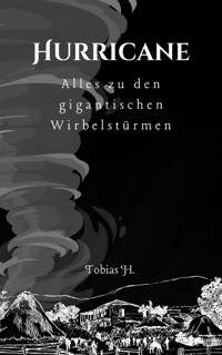 Hurricane - alles zu den gigantischen Wirbelstürmen - Tobias Hopfmüller - ebook