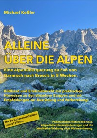 Alleine über die Alpen - Michael Keßler - ebook