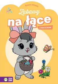 Wiosenne malowanki Zabawy na łące -  - książka