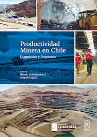 Productividad Minera en Chile - Joaquín Daga K. - ebook
