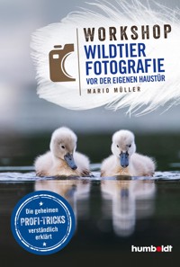 Workshop Wildtierfotografie vor der eigenen Haustür - Mario Müller - ebook