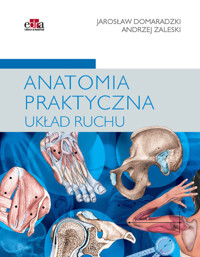 Anatomia praktyczna Układ ruchu - A. Zaleski, J. Domaradzki - książka