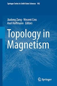 Topology in Magnetism -  - ebook