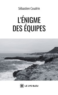 L’énigme des équipes - Sébastien Coudrin - ebook
