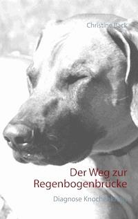 Der Weg zur Regenbogenbrücke - Christine Back - ebook