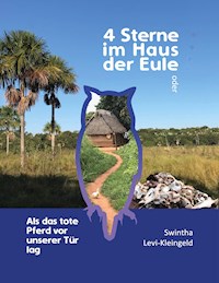 4 Sterne im Haus der Eule - Swintha Levi-Kleingeld - ebook
