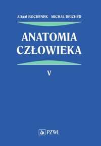 Anatomia człowieka. Tom 5 - Adam Bochenek, Michał Reicher - książka