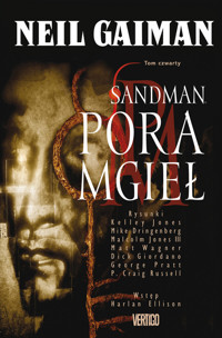 Sandman Pora mgieł Tom 4 - Neil Gaiman - książka