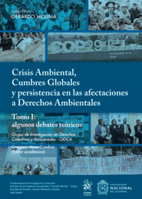 Crisis ambiental, cumbres globales y persistencia en las afectaciones a Derechos Ambientales - Gregorio Mesa Cuadros - ebook